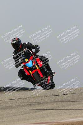 media/Feb-10-2023-TrackDaz (Fri) [[827c11d241]]/C Group/1245pm (Outside Grapevine)/